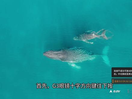 大疆G3眼镜无线投屏教程#无人机大疆#FPV#航模