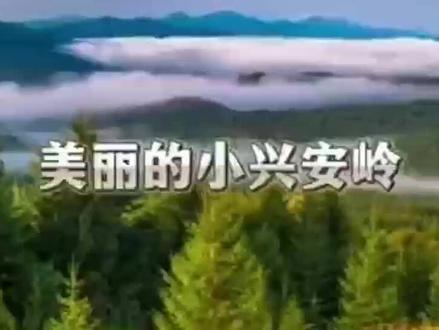 三年级上册《美丽的小兴安岭》课文朗读