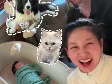 我们一家五口终于团聚啦!#海外生活 #养娃 #毛孩子