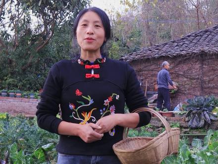 紫色花菜火了,有朋友怀疑是滤镜调色。今天来个一镜到底,把所有花菜摘一遍,看看是真是假。 #我的乡村生活 @抖音小助手