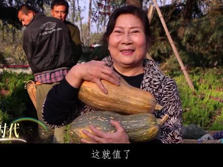 《在路上!》#2026新春走基层 主题曲MV上线