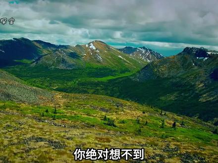 为了一台洗矿机,瑞克可以说把自己所有赌注都押上桌 #淘金 #探险 #纪录片解说 #纪录片推荐 #小Q探宝