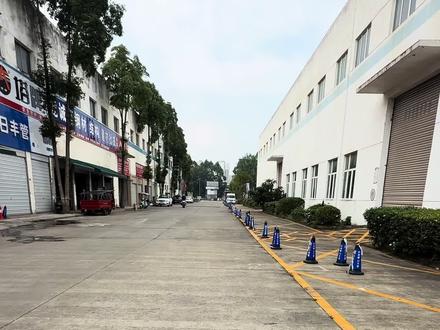 屠魔少年终成魔,好像车贩子都是以身入局、#街霸