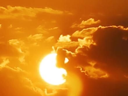 优化版V-Tax远程可视化办税系统上线啦,快来体验吧😬