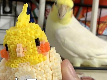 玄风鹦鹉立体拼豆🦜
经过我家小鸡豆认证版哈哈哈哈哈🤫
立体拼豆真的成就感满满🤓☝️
#拼豆 #立体拼豆 #玄风鹦鹉 #拼豆教程 #真实生活分享官