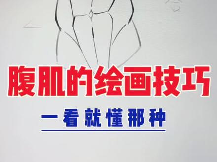 腹肌结构与绘画方法 #绘画教程 #板绘教程 #procreate绘画 #零基础学画画