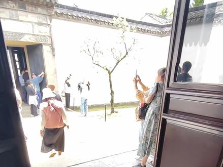 我在拙政园 拍到了古人画的《果熟来禽图》 #中式美学 #拙政园 #果熟来禽图 #青年创作者成长计划 #国画