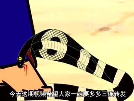 你的转发点赞!也许能救人一命被蛇咬了怎么判断种类怎样选择血清中国常见毒蛇有哪些#毒蛇