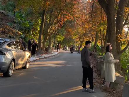 广州周边游攻略#旅行攻略 #从化 #自驾 #vlog