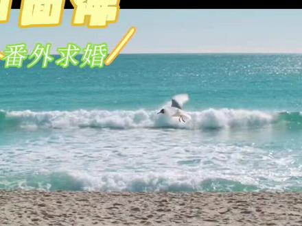 #四面佛 #游书朗樊霄
我的天呐!樊宵叫老公了