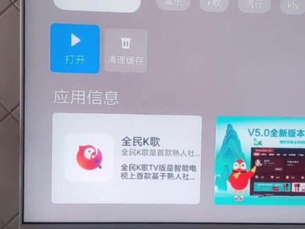 连接电视机唱歌的教程#音响设备 #户外音响 #家庭ktv #k歌音响 #音响