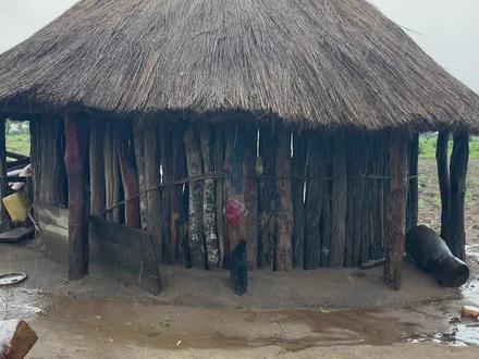 #非洲 #原始部落 关于粉丝们都很好奇的非洲人的房子会不会漏雨。今天下大雨我带大家看看