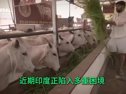 印度民众最大的生存危机,或许还在路上,谈谈印度的水资源危机