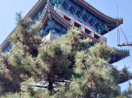 张雪峰老师讲厦门大学,会计,金融,财政学被誉为CFO共埔军校 厦门大学会计学,经济学,海洋科学,化学#高考 #厦门大学 #会计 #高考志愿填报指南 #升学规划 #2026高考 #抖音精选高考应援联盟