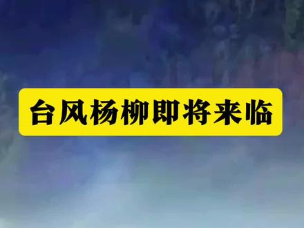 台风杨柳即将来临,请注意防范#杨柳 #台风