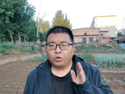 花生几天能出苗,出苗后如何管理?经验老农这样做,学学吧 #花生种植 #种菜俺是认真滴 #种菜要有种菜的样子 #花生种植户