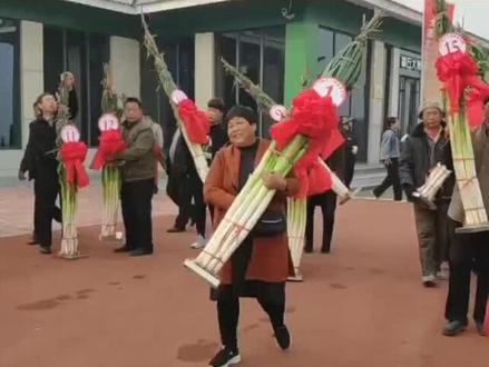 2009年山东章丘葱王揭晓,比姚明高17厘米