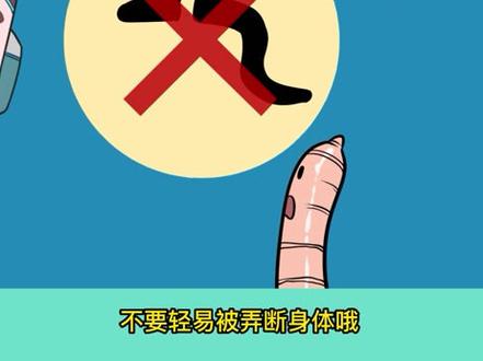 为什么蚯蚓断成两截还能活呢? #十万个为什么 #轻漫计划 #萌知计划 #科普 #百科知识 #冷知识 @抖音青少年