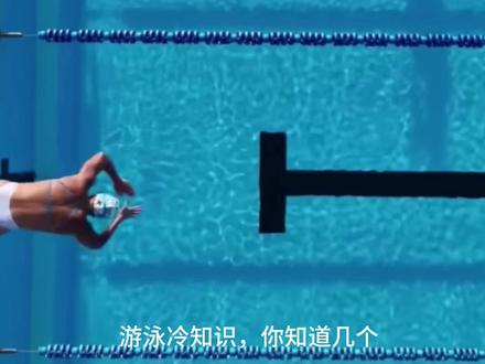 游泳冷知识,你知道几个?#学游泳 #游泳 #游泳冷知识