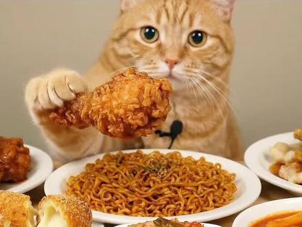 动物吃播教程来啦,是谁还不会? #小猫吃播 #宠物吃播 #小云雀AI#小云雀seedance #小云雀音画直出