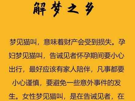 #周公解梦 梦到猫,注意了!留言区评论梦到的东西