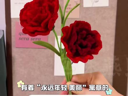 扭扭棒康乃馨制作教程(一) #手工教程 #红色康乃馨 #康乃馨花束 #母亲节手工 #手工礼物