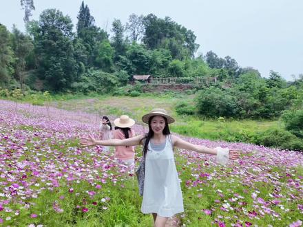 广安的姐妹速来 #广安 #格桑花