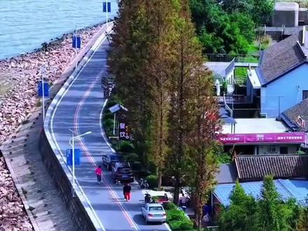 在江苏省苏州市有一条太仓35公里治愈系一日自驾路线,全程无门票!35公里轻松拿捏,家用车就能畅行,一天时间解锁湖岸、田园与人文交织的小众美景,可以按导航逐站打卡#太仓 #江浙沪周边游 #旅行推荐官 #自驾游
