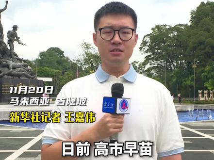 美化日本侵略者?高市惹恼马来西亚民众(记者:王嘉伟、毛鹏飞、程一恒;报道员:祖尔、谭耀明;视频:王沛)