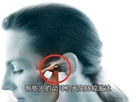 为什么有的人耳朵可以动#知识分享 #每天跟我涨知识 #人体奥秘 #神奇的耳朵