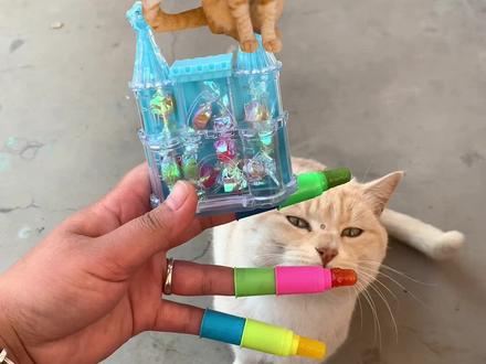 #小朋友玩具 #儿时记忆 小猫咪怎么了