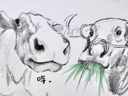 勇敢牛牛 不怕困难~#萌物 #手绘 #画画 #牛 #瑞萌特炭笔