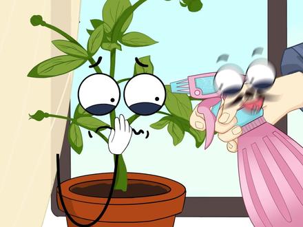 香蕉皮不要扔,教你做肥料!香蕉皮的妙用!#轻漫计划 #冷知识 #涨知识 #养花小知识 #生活小妙招