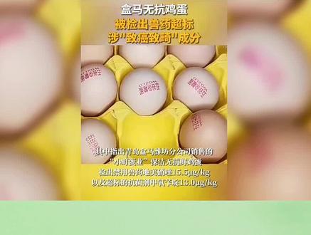 3.15的突击检查无抗鸡蛋全是虚假宣传