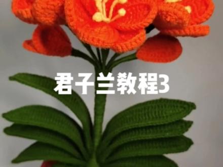 君子兰教程来喽,关注云姐学钩织#手工编织零基础教学 #可以订制哦
