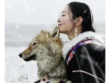 大家为什么看了这个纪录片会哭会被感动?因为我们终其一生追求的忠诚和爱,竟然在一只不会说话的狼身上看到了