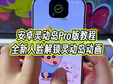 安卓灵动岛Pro版本教程,具有全新的人脸解锁灵动岛动画效果#玩机技巧 #安卓灵动岛 #灵动岛教程 #安卓灵动岛教程