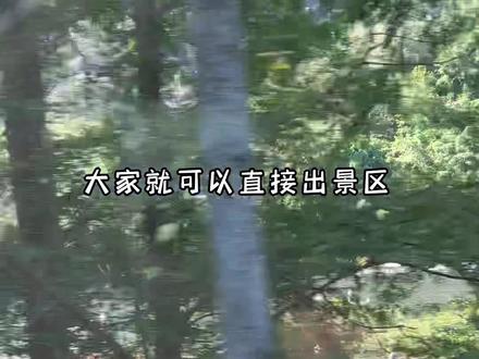 周末游武夷山精华攻略,请注意查收~#武夷山旅游攻略 #旅行推荐官 #南平旅游推荐官 #武夷山导游大宝