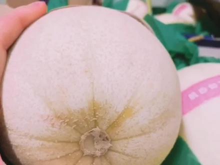 #知花知果 怎么辨别玉菇甜瓜的成熟度#看得见的高品质 #我的生活日记 @抖音小助手