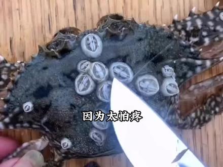 全文35分钟,一口气看完#一更到底