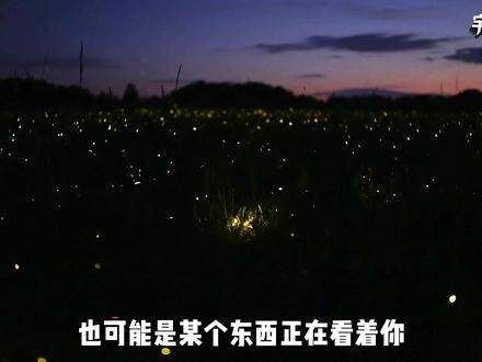如果一只武装机器狗锁定了你,你该怎么逃生? #机器狗 #科普 #青年创作者成长计划