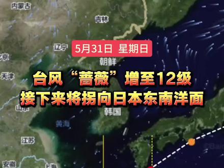 6号台风“蔷薇”增至12级,接下来将拐向日本东南洋面… #台风路径 #台风蔷薇