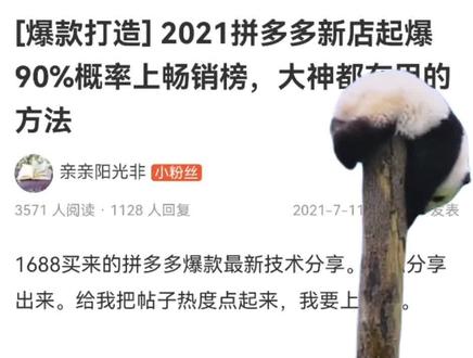 #拼多多运营 这不知道谁分享的上畅销榜单的方法,他自己没实验出来,不知道有没有人按照这个方法起来的???来分享下呗#电商干货分享