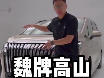 这MPV的空间你们感受下#魏牌高山 #新能源领航计划