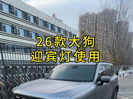 2026款大狗后视镜迎宾灯使用方法#哈弗大狗 #哈弗大狗2026款 #城市越野双标杆