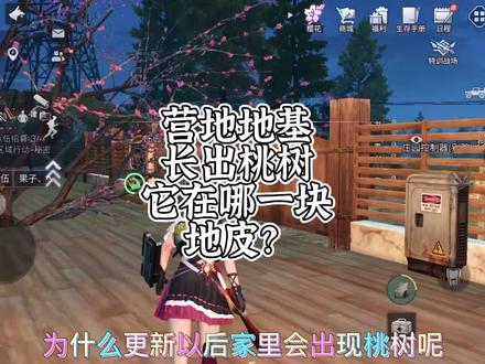 明日之后庄园出现桃树:它在营地哪一块地皮?快来看看#明日之后 #明日之后更新 #明日之后第四季