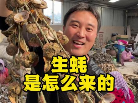 又到了一年当中最适合吃生蚝的季节了,大家知道生蚝最初的样子吗?带大家看看。#生蚝