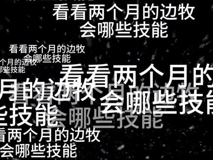 边牧的聪明真是超乎我的意料之外 到家一个礼拜还学会了定点#宠物训练 #训练狗狗 #陨石边牧