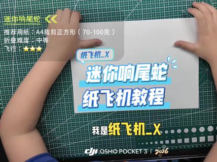 【教程】复刻仿真纸飞机大神Jayson Merrill的“迷你响尾蛇”!#纸飞机 #仿真纸飞机