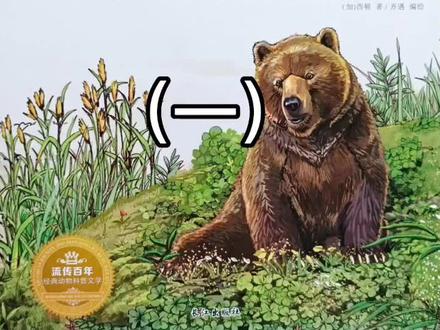 绘本故事:《孤独的灰熊卡普(1)》
灰熊卡普从小就失去了亲人,孤单地在森林里长大。它独自觅食、自己寻找领地,最后,年老的卡普被竞争者驱逐出了自己的领地……#儿童经典故事推荐 #儿童故事大全 #儿童故事 #儿童睡前故事 #儿童睡前故事推荐 #儿童读物 #亲子教育 #儿童绘本 #睡前故事 #儿童小故事大全 #育儿知识分享 #儿童睡前故事大全 #育儿教育 #儿童绘本推荐 #童书推荐 #睡前故事推荐 #儿童绘画 #经典儿童动画推荐